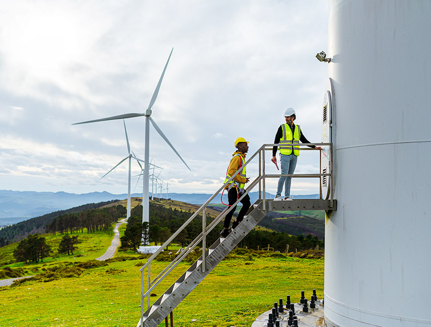 شركة ووشي ويلد نيس لتكنولوجيا الصناعات الثقيلة المحدودة